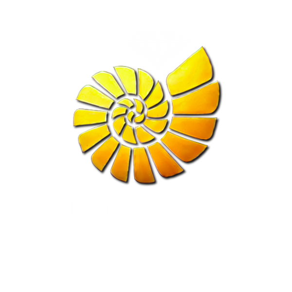 The Nautilus Workshop Store