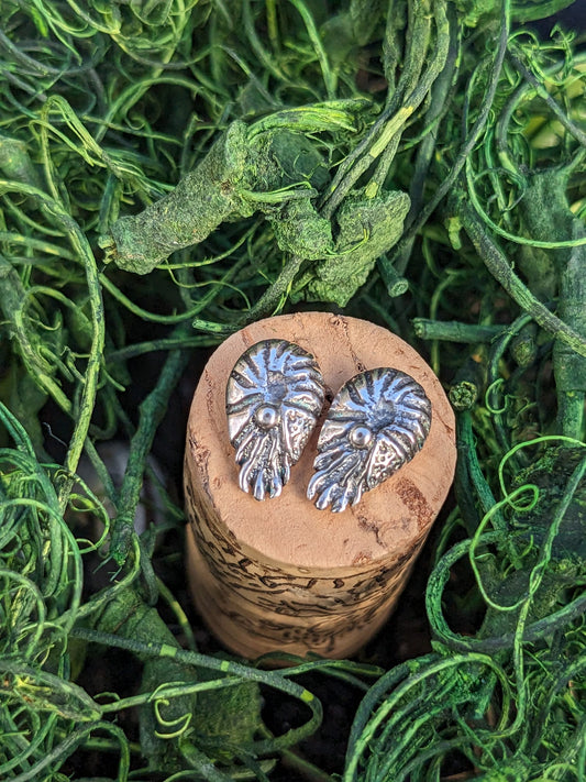 Nautilus Silver Studs