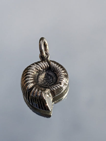 Ammonite Fossil Silver Pendant