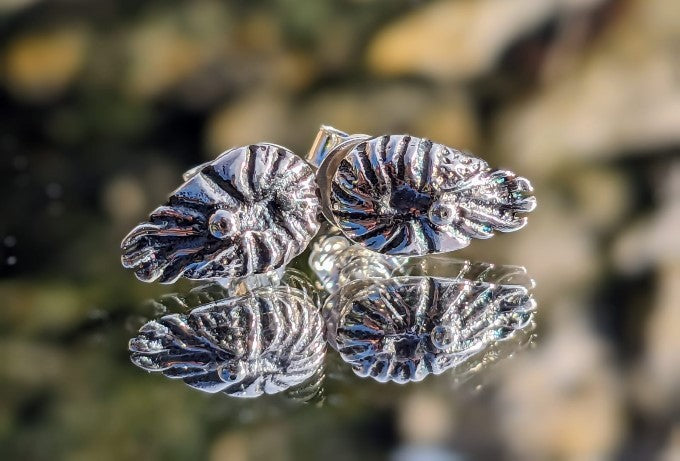 Nautilus Silver Studs