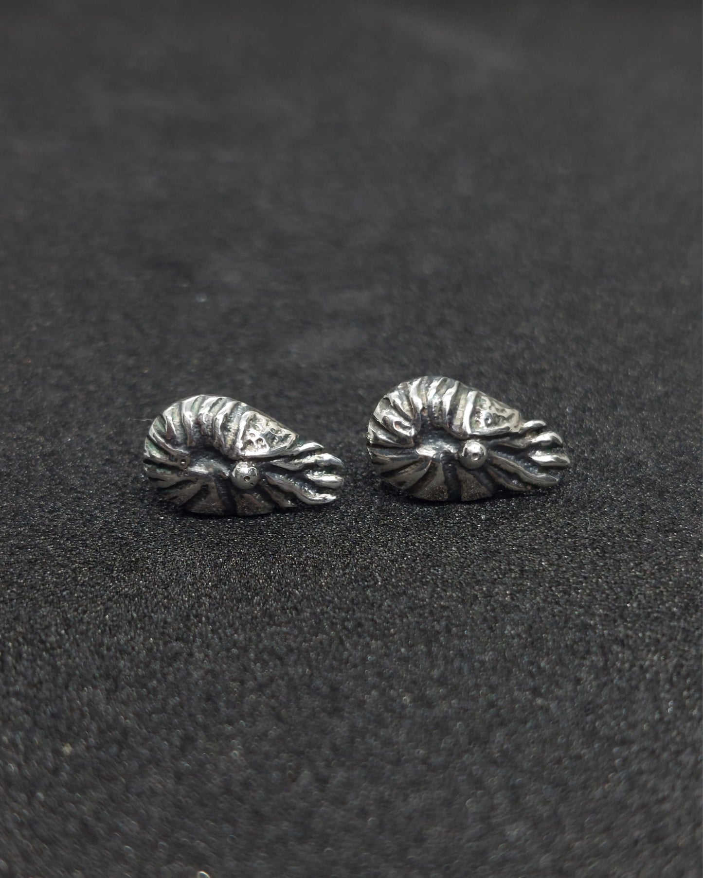 Nautilus Silver Studs