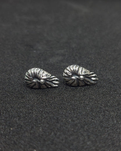 Nautilus Silver Studs