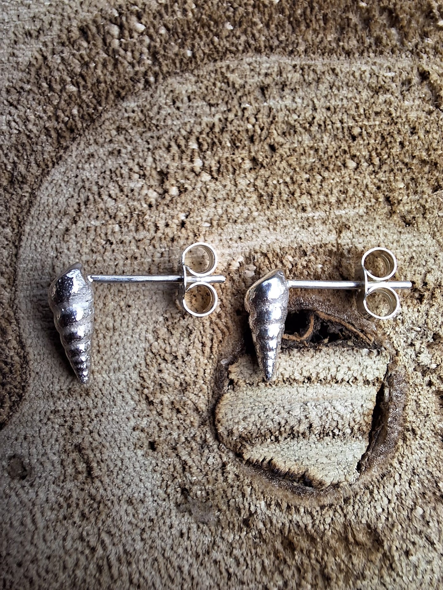 Spiral Shell Studs