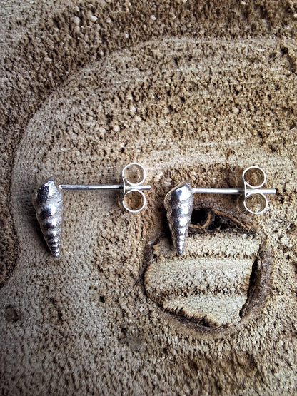 Spiral Shell Studs