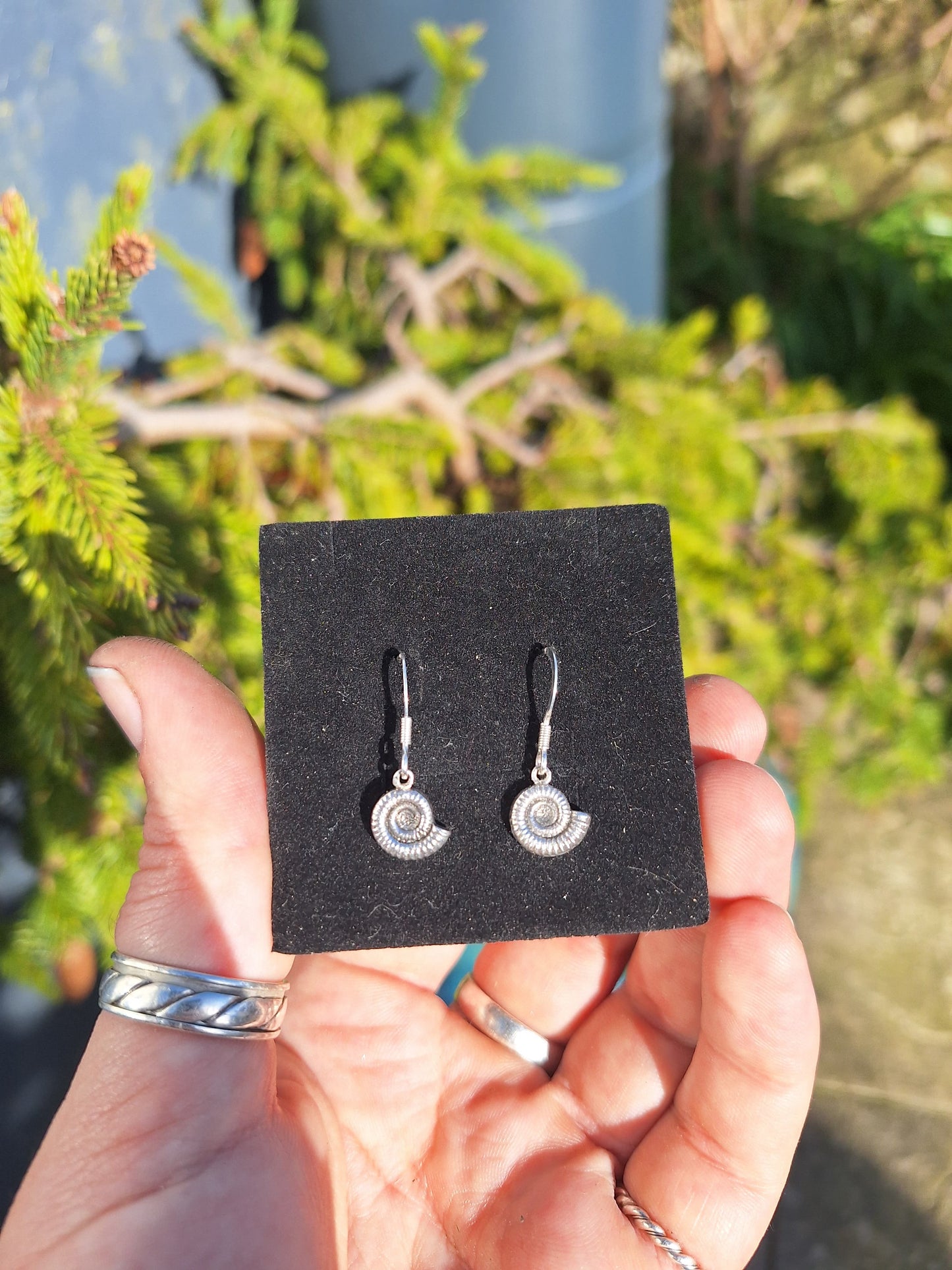 Ammonite Fossil Silver Drop Earrings