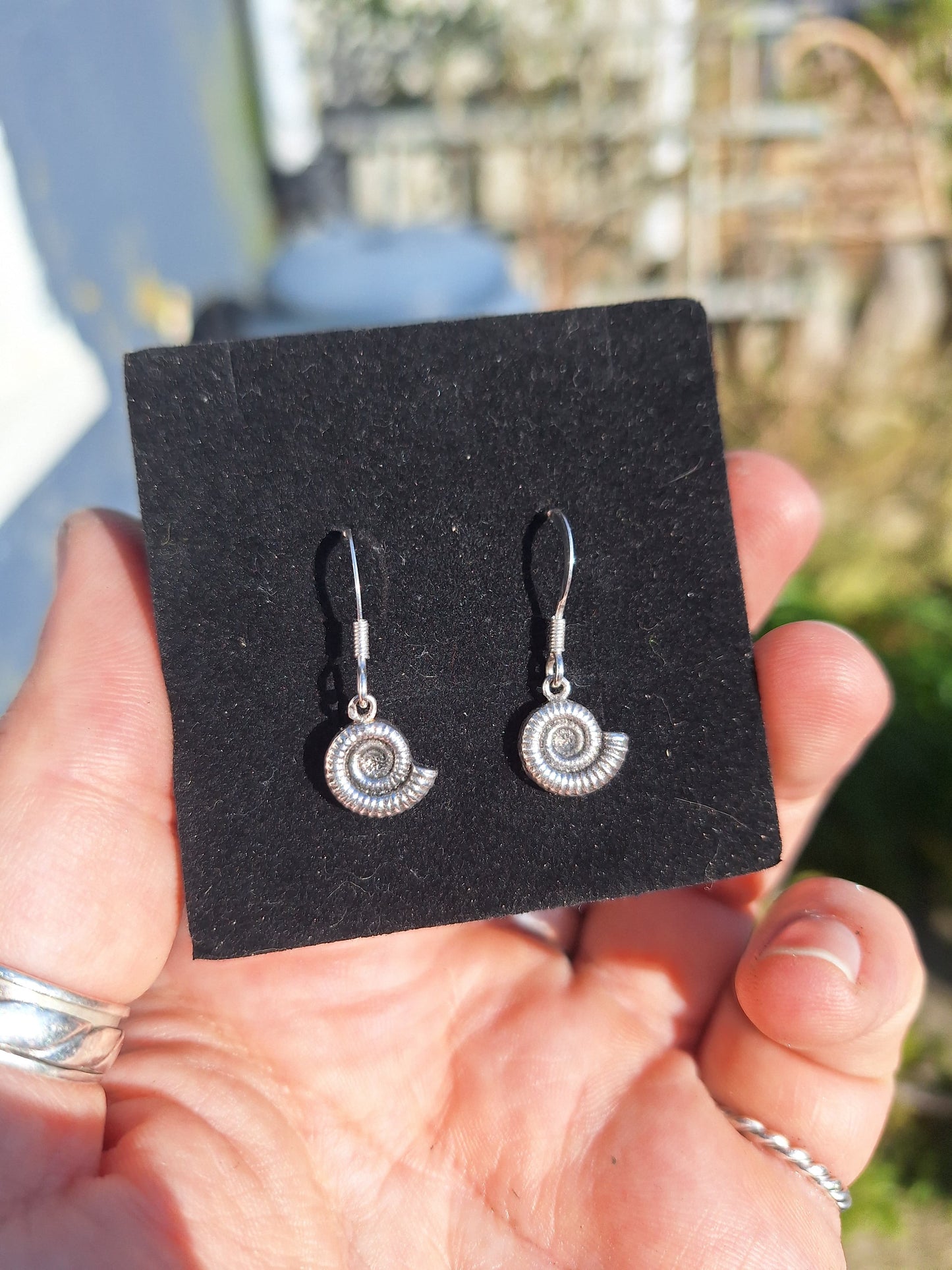 Ammonite Fossil Silver Drop Earrings